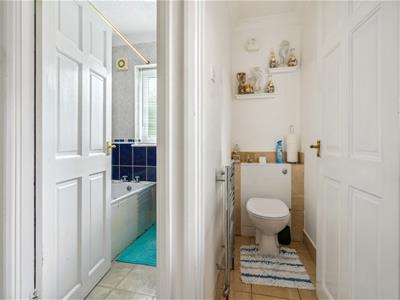 Picture 12